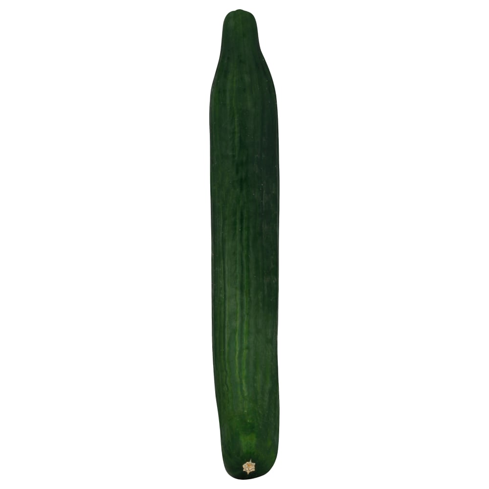 English Cucumber