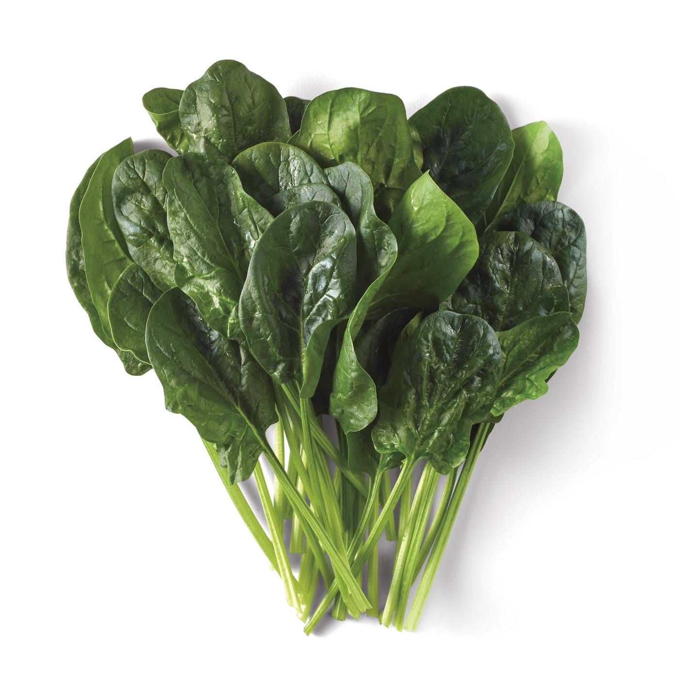Spinach, 1 bundle each