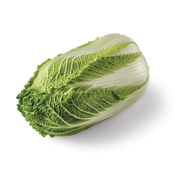 Fresh Napa Cabbage