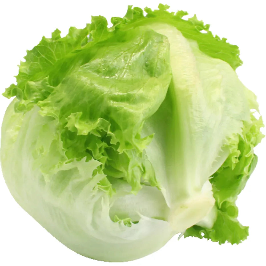 Lechuga Iceberg, unidad
