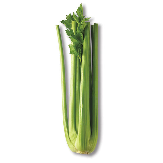 Celery - each
